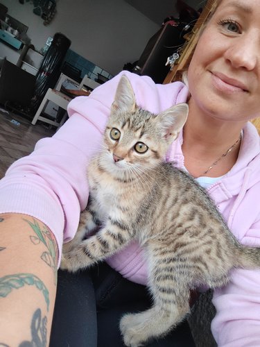 Foto člena 