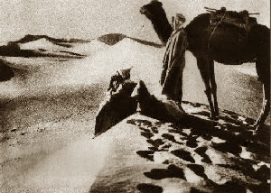  Hlídka na dunách pouště Tíh