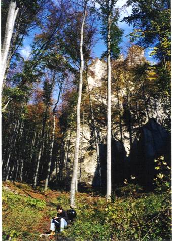  Vysokánske stromy a ešte vyššie skaly. Horolezecký raj.