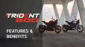 Triumph Trident 800 2026
